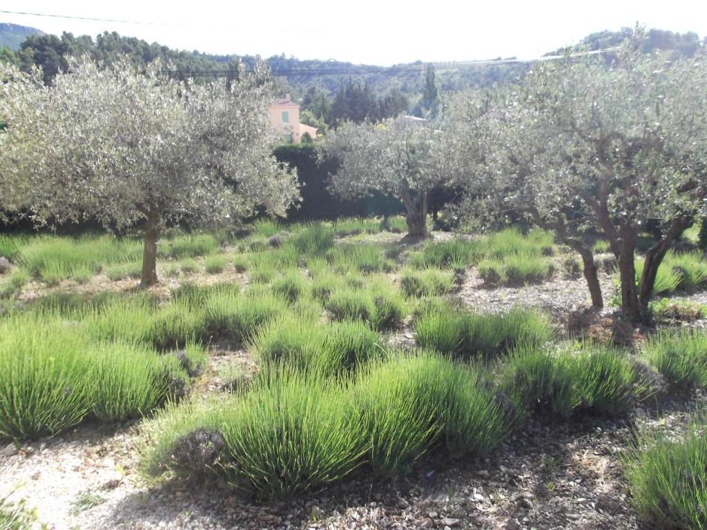 La Serenade Buis-les-Baronnies Eksteriør bilde